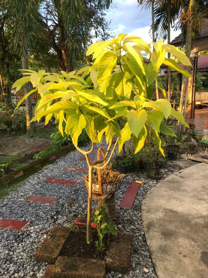 Ferienwohnung Grandma'S House Nakhon Nayok Exterior foto